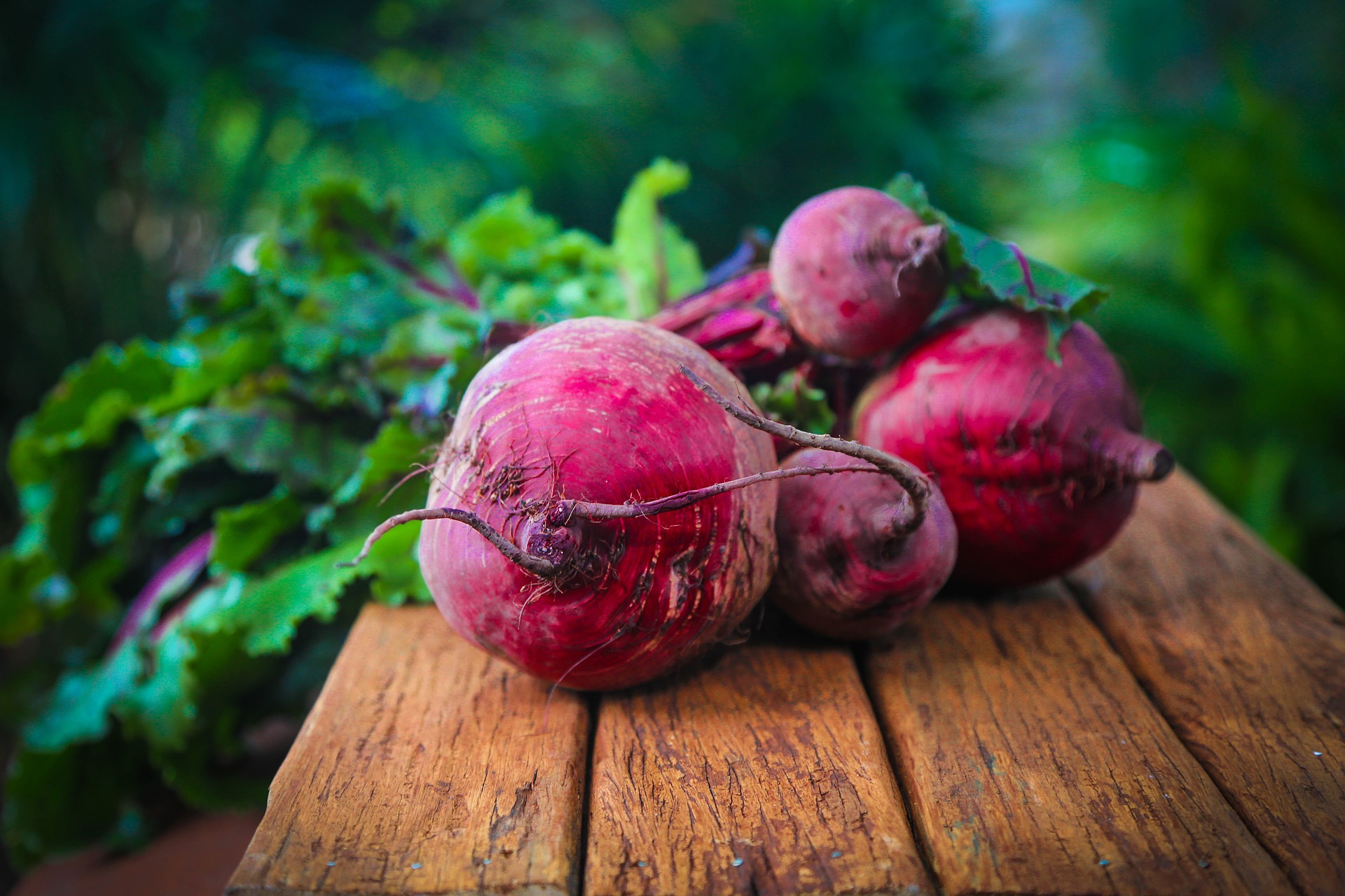 Roasted Beet and Fennel Soup – Alberta Co-op