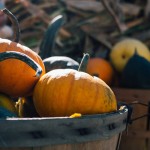 winter squash and pumpkins
