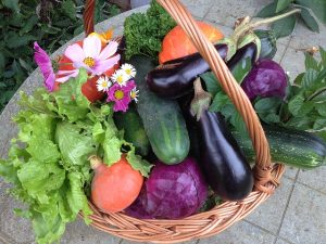 Farmers Market Basket