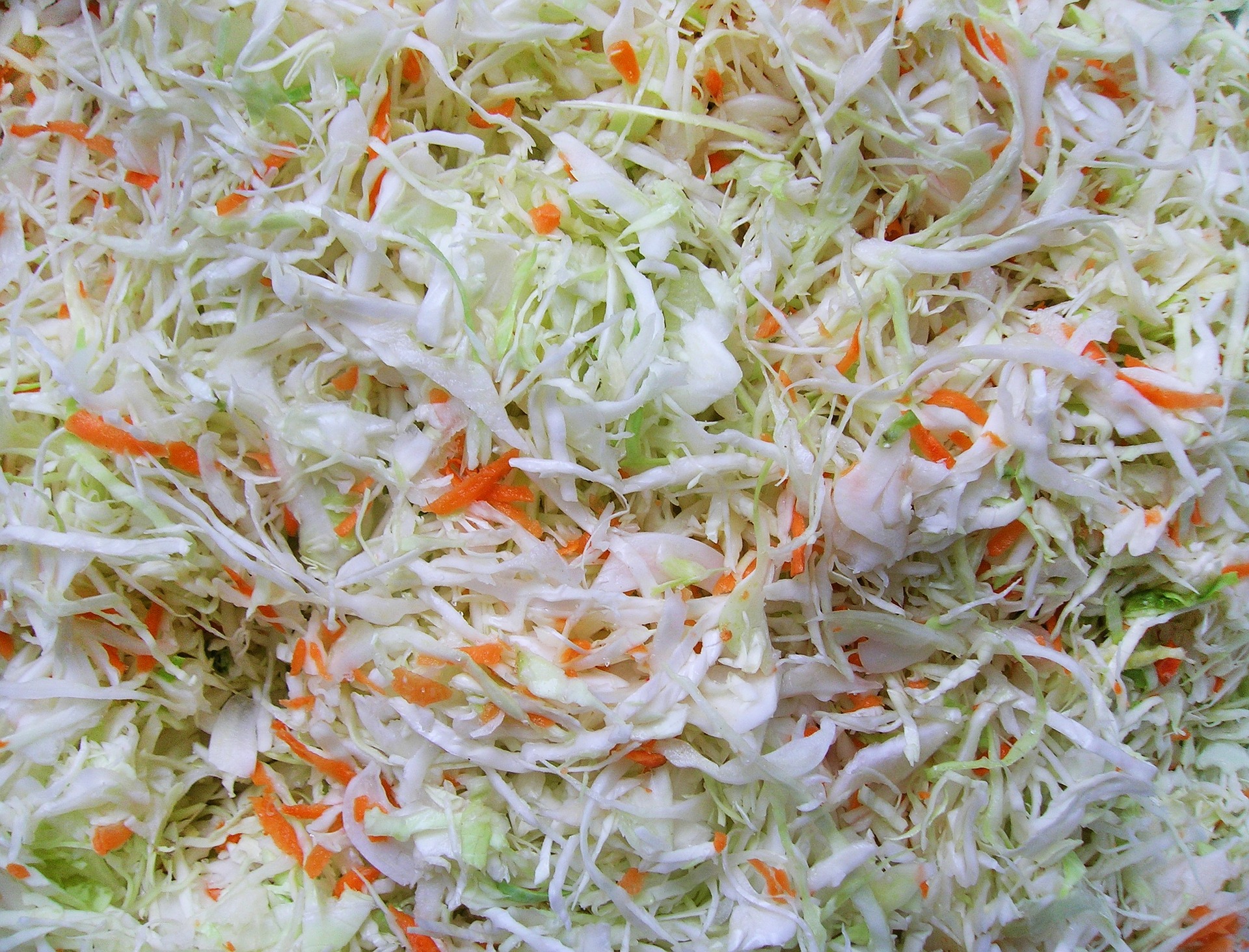 Beginner’s Kraut – Alberta Co-op